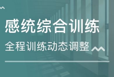 感统训练没有效果的原因是什么