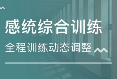 0-6岁儿童感觉统合发展的特点