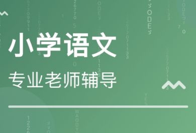 小学生如何学好语文？有什么方法？