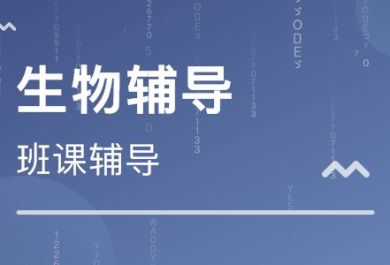 高中生物辅导选择老师要考虑哪些方面