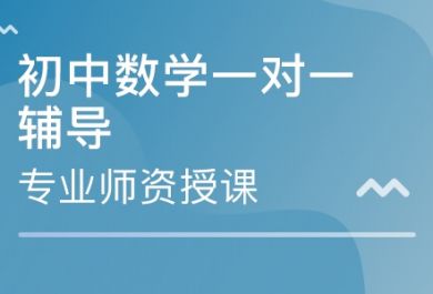 初一数学一对一辅导的原因有哪些