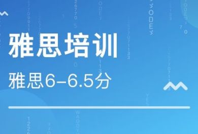 邯郸励学暑假雅思1对1培训效果好吗