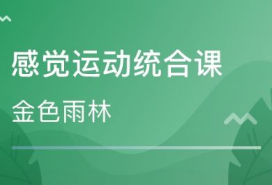 成都金牛区儿童感统训练课去哪家靠谱