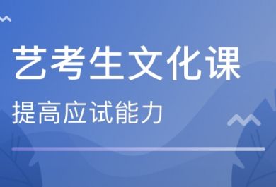 成都武侯区艺考文化课辅导选哪个好