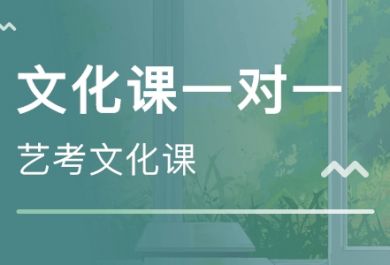 成都武侯区艺考文化课暑假小班补习哪家好