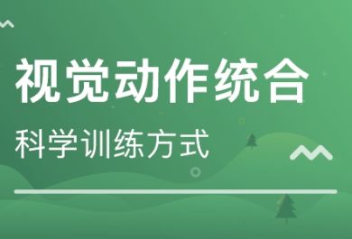 杭州哪家视觉统合能力培训课程好？