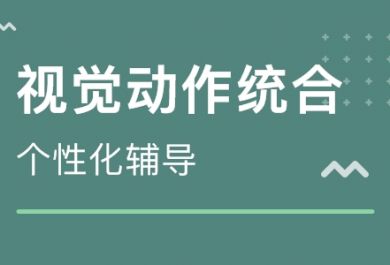 杭州哪家视觉统合能力培训学校靠谱