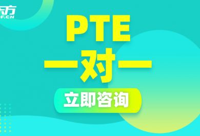 南京新东方PTE1对1辅导班