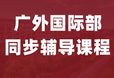 深圳广外国际部同步课程辅导