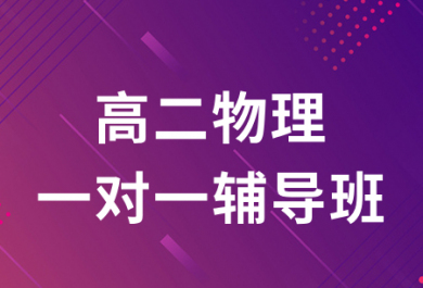 潍坊迪诺高二物理一对一补课班