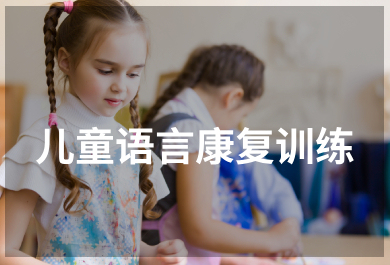 武汉大米和小米儿童语言治疗康复训练课