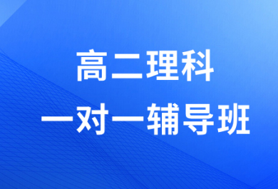 潍坊迪诺高二理科一对一辅导班