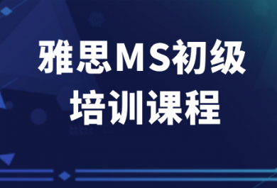 佛山新东方雅思MS初级班