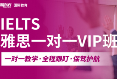 杭州新东方雅思一对一VIP班