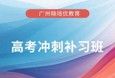 广州晓培优高考冲刺补习班