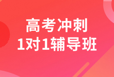 北京圓夢高考沖刺一對一輔導(dǎo)班