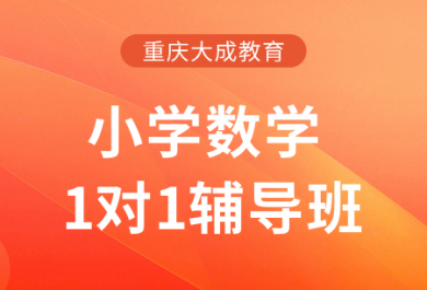 重庆大成小学数学一对一补习班