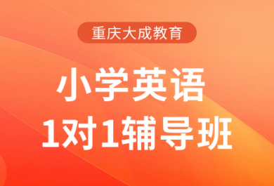 重庆大成小学英语一对一补课班