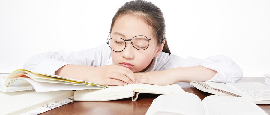 西安市新城区2025年义务教育小学学区范围