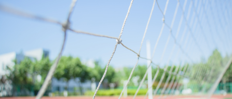 《河北省XXXX年普通高校录取考生综合信息登记表》在线办理指南