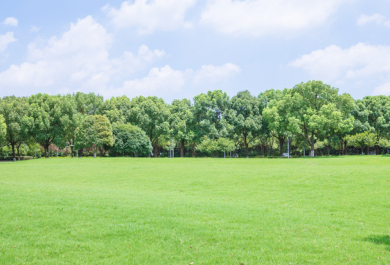上海昂立智立方教育哪些地方开有校区