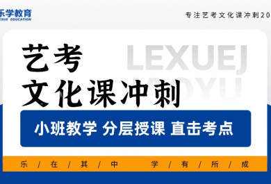 武汉乐学艺考文化课冲刺班