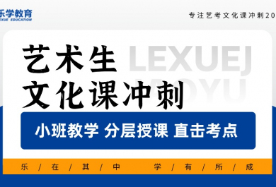 武汉乐学艺术生文化课冲刺班