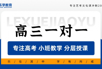 武汉乐学高三一对一辅导班