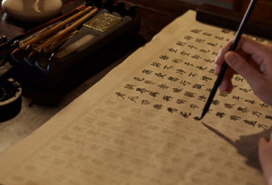 四川省2026年普通高等学校书法类专业招生简介