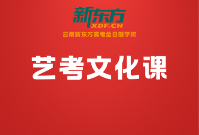 昆明新东方高中艺考文化课辅导班