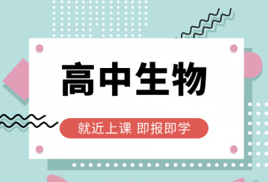 北京龙文高中生物一对一辅导班