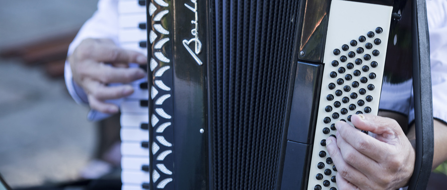 安徽2026年普通高校招生艺术专业音乐类考试温馨提示