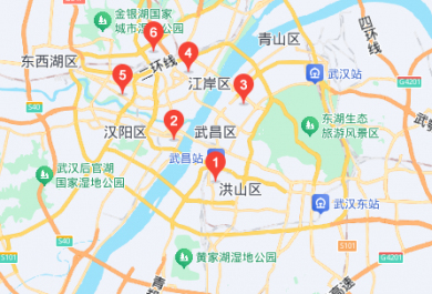 武汉龙文教育(钟二校区)