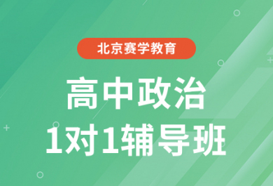 北京赛学高中政治一对一培训班