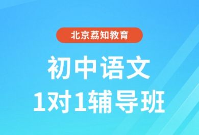 北京荔知初中语文一对一辅导班