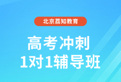 北京荔知高考冲刺一对一辅导班