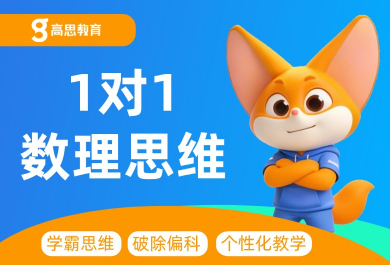 北京高思初二数学一对一补习班