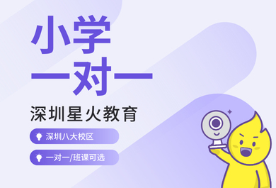 深圳星火小学一对一全科辅导班