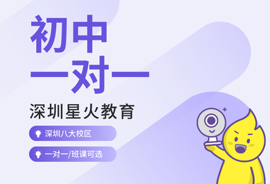 深圳星火初中一对一全科辅导班