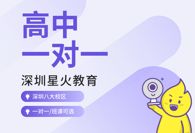 深圳星火高中一对一全科补习班