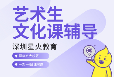 深圳星火艺考文化课一对一辅导班