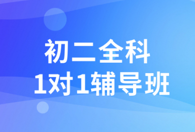 济南朴新天材初二全科一对一补课班