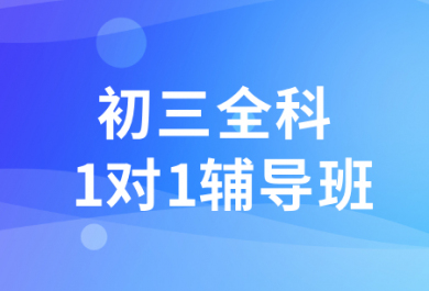 济南朴新天材初三全科一对一辅导班