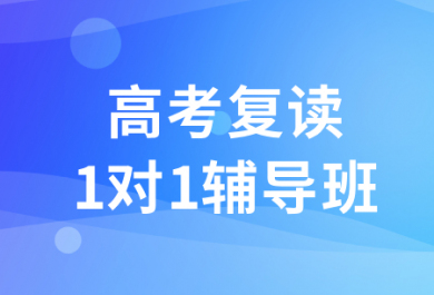 济南朴新天材高考复读一对一辅导班