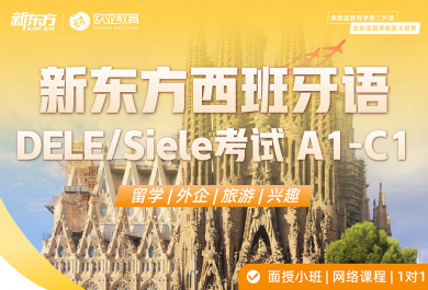 北京新东方西班牙语培训班