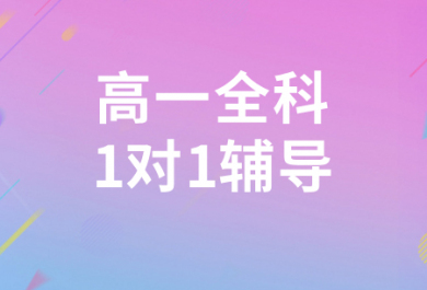 扬州星火高一全科一对一补习班