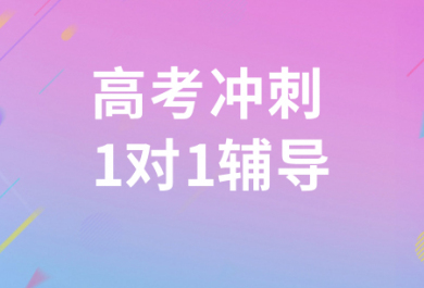 扬州星火高考冲刺一对一辅导班