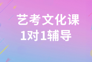 常州星火艺考文化课一对一辅导班