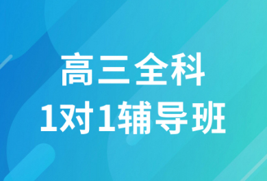 长沙新东方高三一对一辅导班
