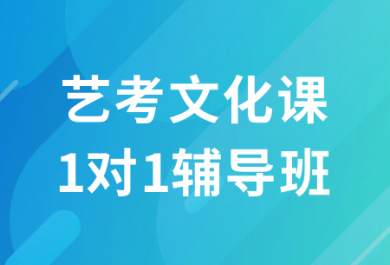 长沙新东方艺考文化课一对一辅导班